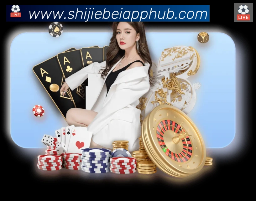 未来规划